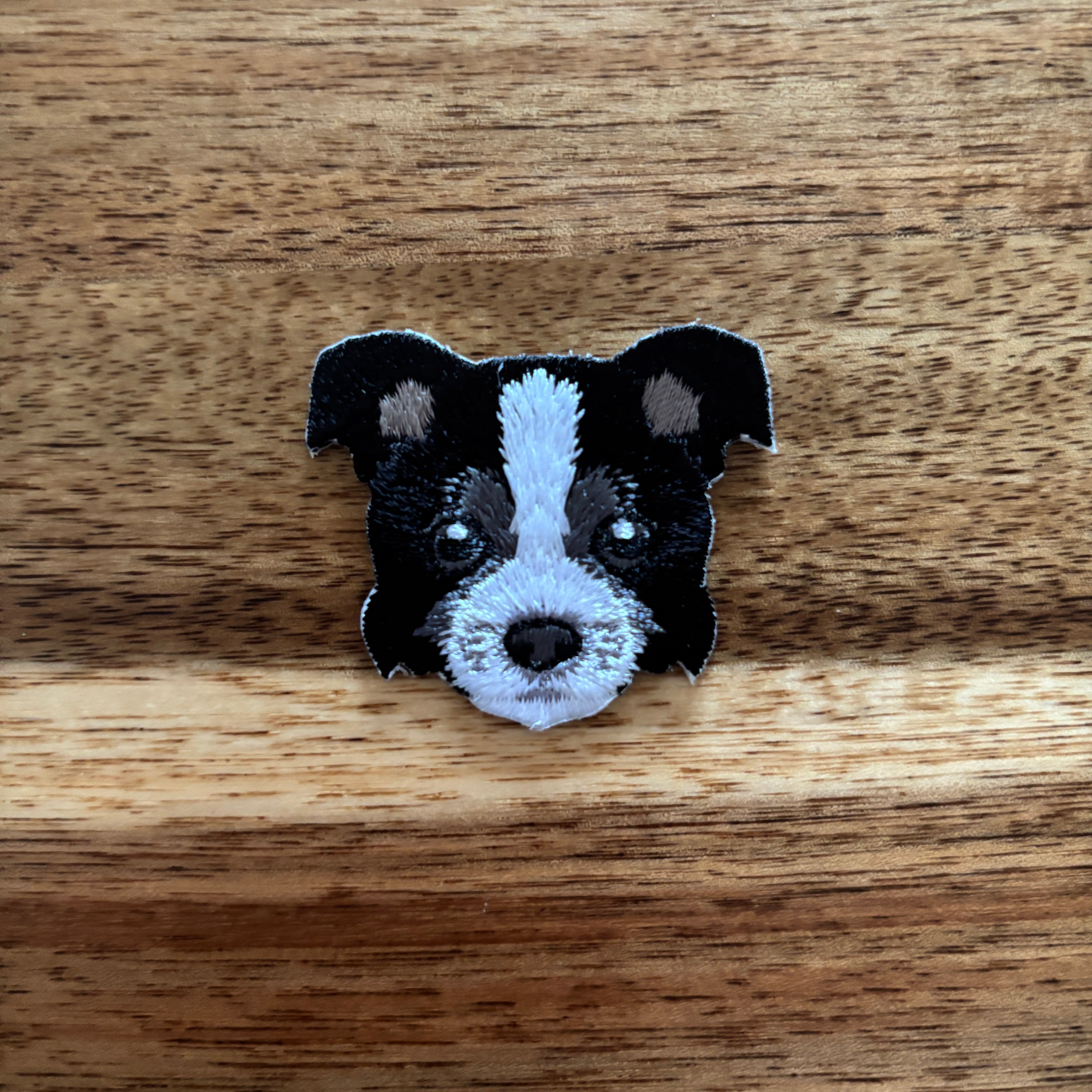 PatchWouf Borde Collie